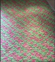 Green and pink ladder
